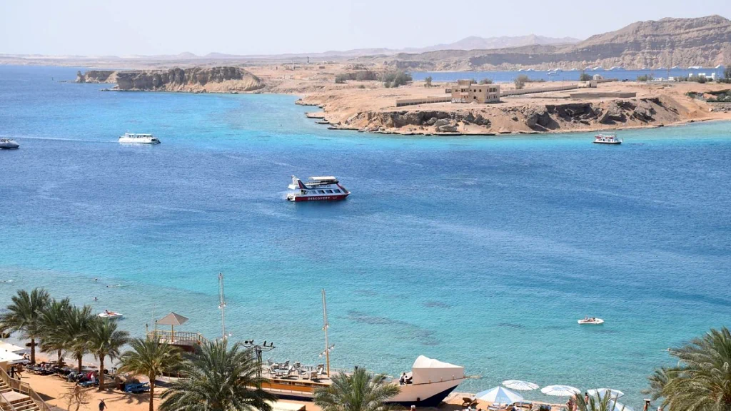 الفندق الباتروس شرم ريزورت - شرم الشيخ